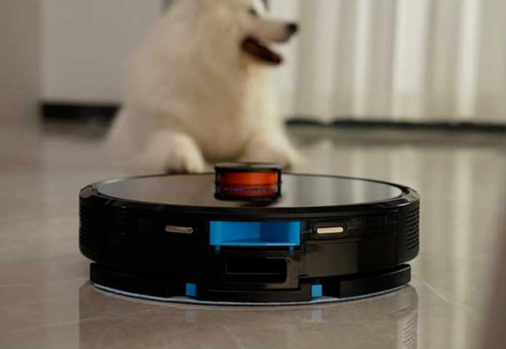 Best Small Robot Vacuum Cleaner
